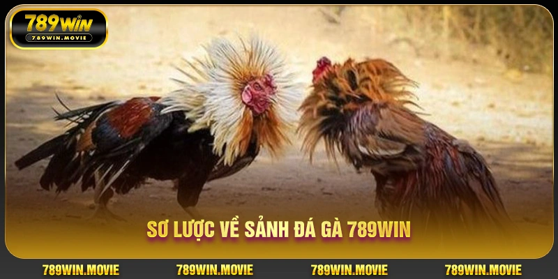 Sơ lược về sảnh đá gà 789WIN